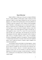 Referāts 'Buyer Behavior', 3.