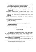Referāts 'Uzņēmējdarbības attīstība Latvijā un reģionos no 2007. līdz 2012.gadam', 13.