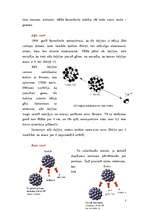 Referāts 'Radioaktivitāte', 3.