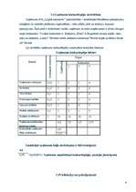 Biznesa plāns 'Biznesa plāns', 6.