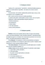 Biznesa plāns 'Biznesa plāns', 7.