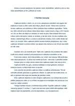 Biznesa plāns 'Biznesa plāns', 8.