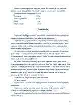 Biznesa plāns 'Biznesa plāns', 11.