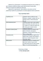 Biznesa plāns 'Biznesa plāns', 12.