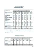 Biznesa plāns 'Biznesa plāns', 16.