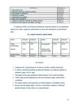 Biznesa plāns 'Biznesa plāns', 20.