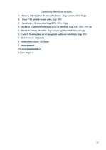 Biznesa plāns 'Biznesa plāns', 21.