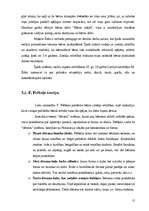 Diplomdarbs 'Bērnu iztēles veicināšana, izmantojot ģeometriskās formas', 12.