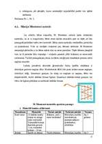 Diplomdarbs 'Bērnu iztēles veicināšana, izmantojot ģeometriskās formas', 17.