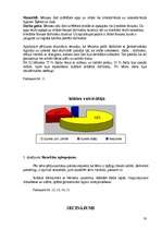 Diplomdarbs 'Bērnu iztēles veicināšana, izmantojot ģeometriskās formas', 30.