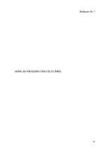 Diplomdarbs 'Bērnu iztēles veicināšana, izmantojot ģeometriskās formas', 41.