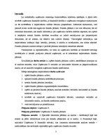 Diplomdarbs 'Uzņēmuma finanšu pārskati un to analīze', 3.