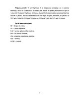 Diplomdarbs 'Uzņēmuma finanšu pārskati un to analīze', 4.