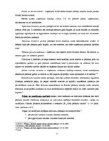 Diplomdarbs 'Uzņēmuma finanšu pārskati un to analīze', 11.