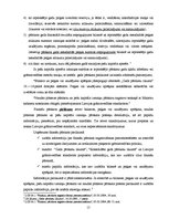 Diplomdarbs 'Uzņēmuma finanšu pārskati un to analīze', 15.