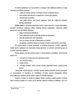 Diplomdarbs 'Uzņēmuma finanšu pārskati un to analīze', 19.