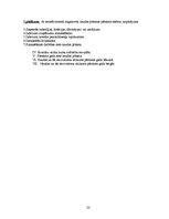 Diplomdarbs 'Uzņēmuma finanšu pārskati un to analīze', 56.