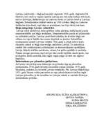 Eseja 'Bēgļi un bezvalstnieki Latvijā no 1918.-1921.gadam', 2.