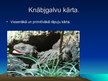 Prezentācija 'Rāpuļi', 8.