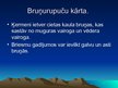 Prezentācija 'Rāpuļi', 9.