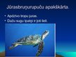 Prezentācija 'Rāpuļi', 10.