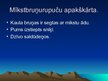 Prezentācija 'Rāpuļi', 11.