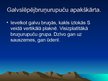Prezentācija 'Rāpuļi', 12.