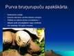 Prezentācija 'Rāpuļi', 13.
