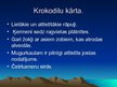 Prezentācija 'Rāpuļi', 18.