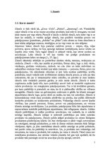 Referāts 'Produkta zīmola nozīme produkta stratēģijas izstrādē', 4.