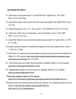 Referāts 'Latvijas ekonomiskās krīzes iespējamā ietekme uz Latvijas mājsaimniecību', 31.