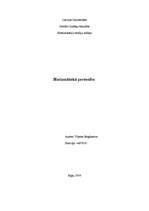 Referāts 'Harizmātiska personība - Nikola Sarkozi', 1.
