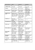 Konspekts 'Pasaules kontinentu raksturojums', 1.