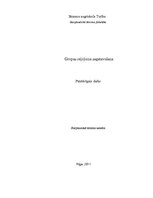 Referāts 'Grupas ceļojuma sagatavošana', 1.