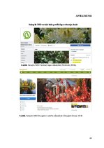 Referāts 'Apmeklētāju viedokļa analīze par Salaspils Nacionālā Botāniskā dārza mārketinga ', 49.