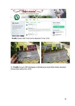 Referāts 'Apmeklētāju viedokļa analīze par Salaspils Nacionālā Botāniskā dārza mārketinga ', 50.