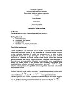 Paraugs 'Magnētiskā lauka mērīšana', 1.