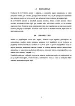 Referāts 'Mārketinga audits', 6.
