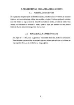 Referāts 'Mārketinga audits', 8.