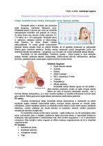 Konspekts 'Iekšķīgo slimību fizioterapija', 1.