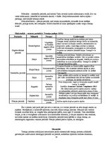 Diplomdarbs 'Mācību un treniņa procesa analīze futbola klubā "FK Mērsrags"', 38.