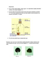 Paraugs 'Oglekļa dioksīda klātbūtnes nepieciešamība fotosintēzes procesā', 3.