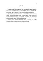 Prakses atskaite 'Ievadprakse tiesā', 3.