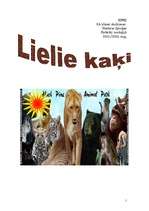 Referāts 'Lielie kaķi', 1.