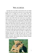 Referāts 'Lielie kaķi', 5.