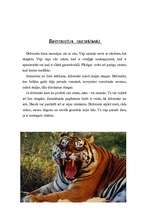 Referāts 'Lielie kaķi', 6.