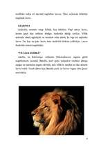 Referāts 'Lielie kaķi', 9.