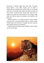 Referāts 'Lielie kaķi', 11.