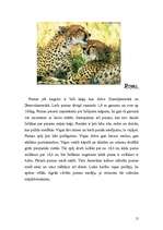 Referāts 'Lielie kaķi', 15.