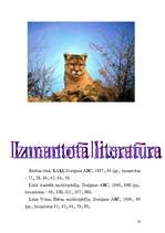 Referāts 'Lielie kaķi', 16.